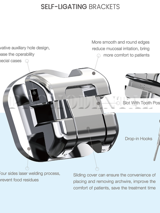 1 - EM-813-2A-Morrow E (2).png